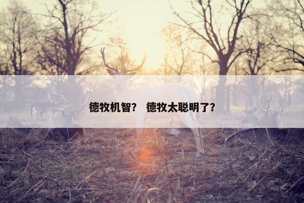 德牧机智？ 德牧太聪明了？