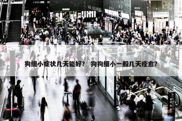 狗细小症状几天能好？ 狗狗细小一般几天痊愈？