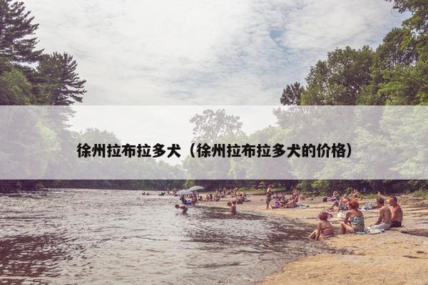 徐州拉布拉多犬（徐州拉布拉多犬的价格）