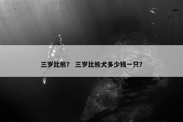 三岁比熊？ 三岁比熊犬多少钱一只？
