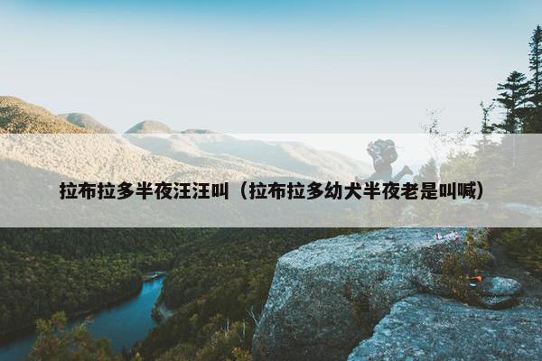 拉布拉多半夜汪汪叫（拉布拉多幼犬半夜老是叫喊）