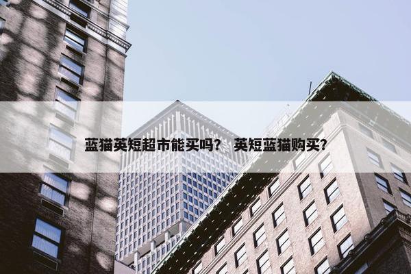蓝猫英短超市能买吗？ 英短蓝猫购买？