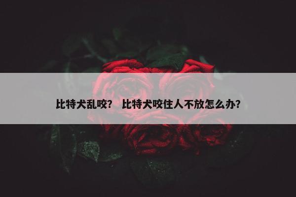 比特犬乱咬？ 比特犬咬住人不放怎么办？