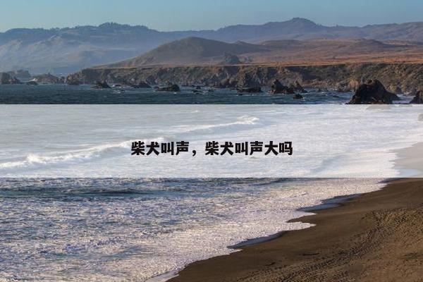 柴犬叫声，柴犬叫声大吗
