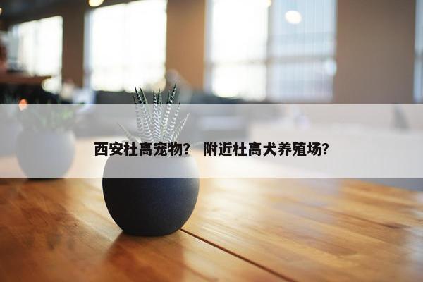 西安杜高宠物？ 附近杜高犬养殖场？