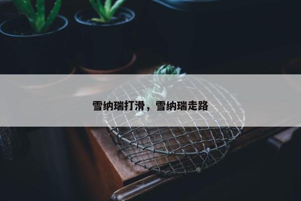 雪纳瑞打滑，雪纳瑞走路
