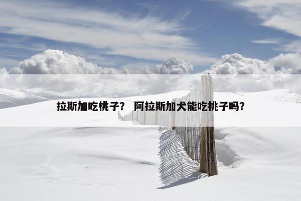 拉斯加吃桃子？ 阿拉斯加犬能吃桃子吗？