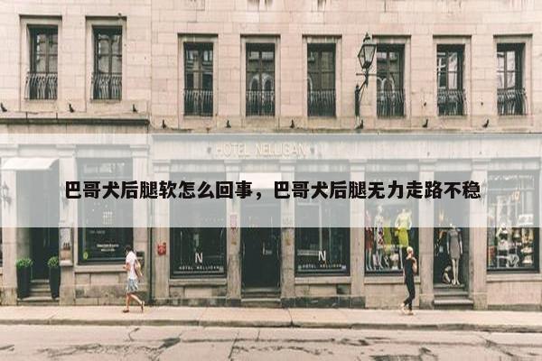 巴哥犬后腿软怎么回事，巴哥犬后腿无力走路不稳