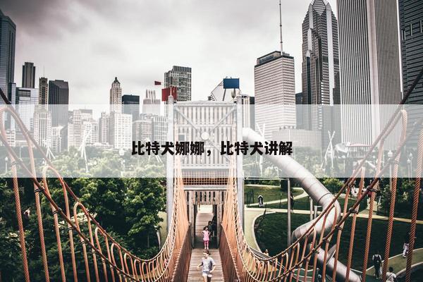 比特犬娜娜，比特犬讲解