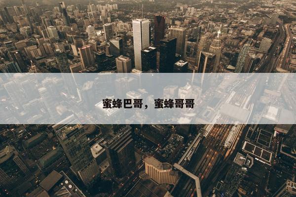 蜜蜂巴哥，蜜蜂哥哥