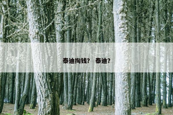 泰迪掏钱？ 泰迪？