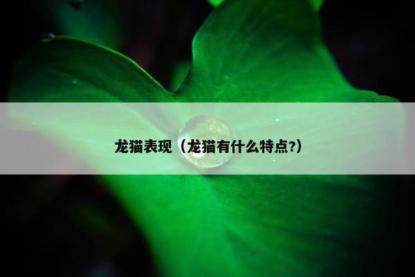 龙猫表现（龙猫有什么特点?）