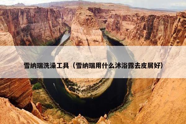 雪纳瑞洗澡工具（雪纳瑞用什么沐浴露去皮屑好）