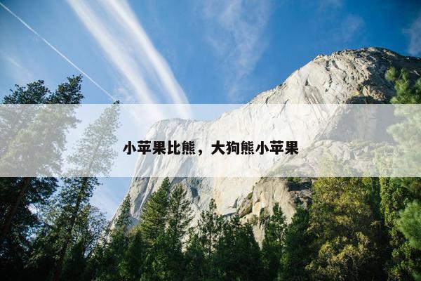 小苹果比熊，大狗熊小苹果