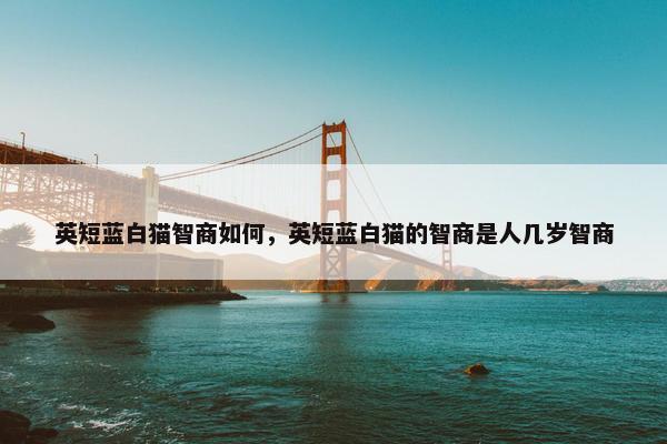 英短蓝白猫智商如何，英短蓝白猫的智商是人几岁智商