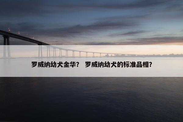 罗威纳幼犬金华？ 罗威纳幼犬的标准品相？