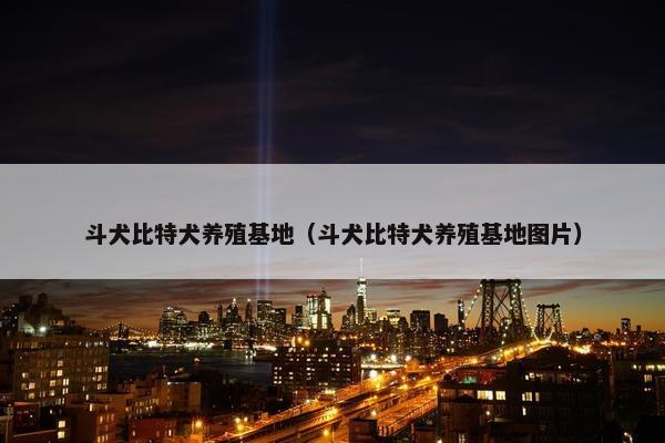 斗犬比特犬养殖基地（斗犬比特犬养殖基地图片）