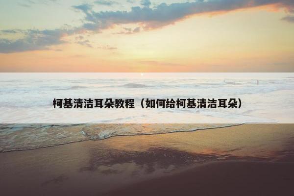 柯基清洁耳朵教程（如何给柯基清洁耳朵）