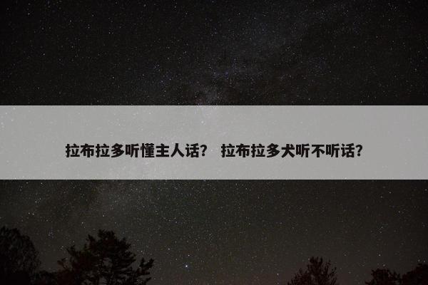 拉布拉多听懂主人话？ 拉布拉多犬听不听话？