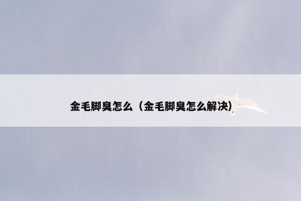 金毛脚臭怎么（金毛脚臭怎么解决）