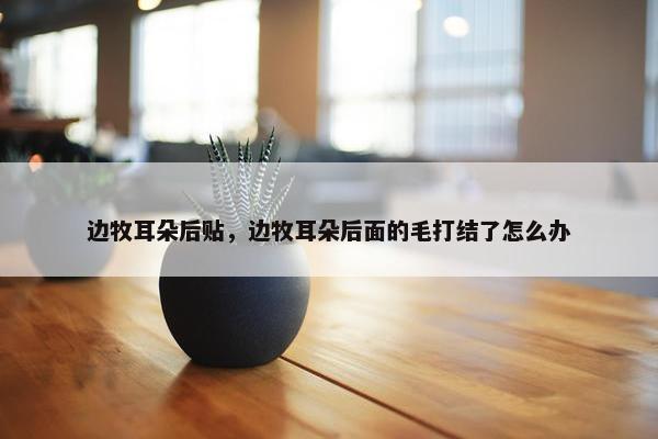 边牧耳朵后贴，边牧耳朵后面的毛打结了怎么办