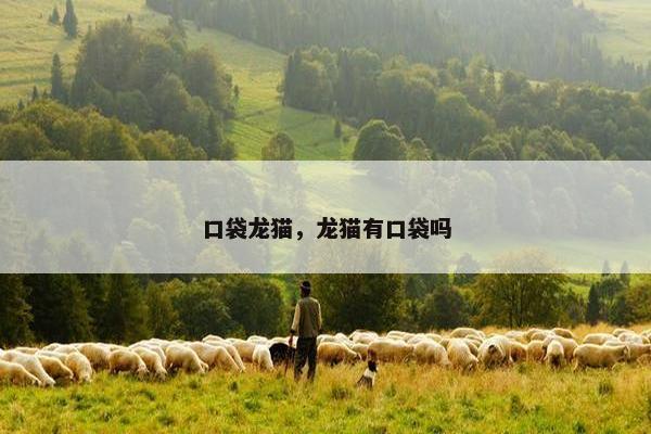 口袋龙猫，龙猫有口袋吗