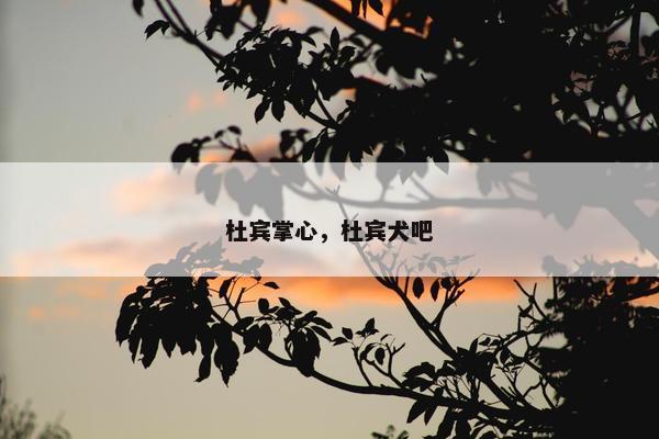 杜宾掌心，杜宾犬吧