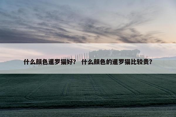 什么颜色暹罗猫好？ 什么颜色的暹罗猫比较贵？