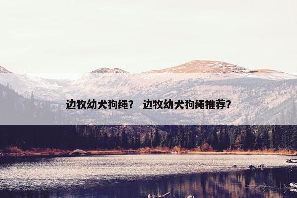 边牧幼犬狗绳？ 边牧幼犬狗绳推荐？
