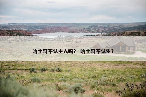 哈士奇不认主人吗？ 哈士奇不认生？