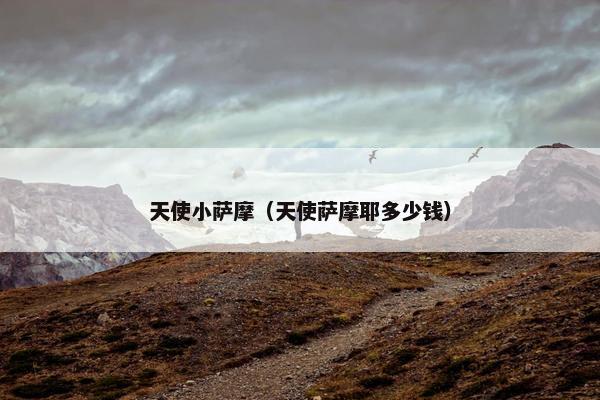 天使小萨摩（天使萨摩耶多少钱）