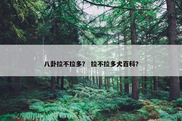 八卦拉不拉多？ 拉不拉多犬百科？