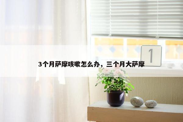 3个月萨摩咳嗽怎么办，三个月大萨摩