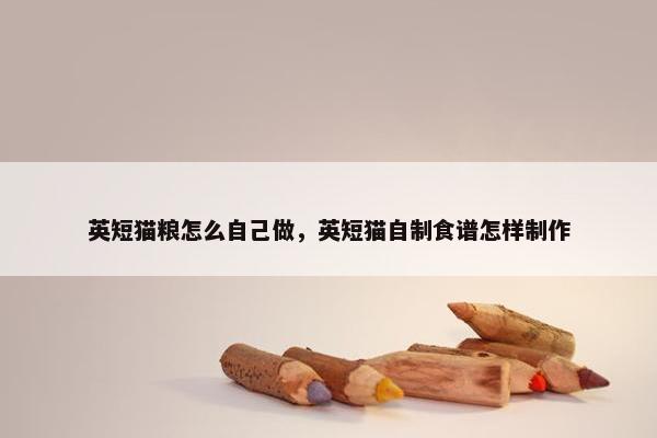 英短猫粮怎么自己做，英短猫自制食谱怎样制作