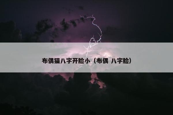布偶猫八字开脸小（布偶 八字脸）