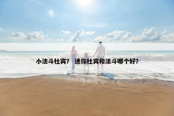 小法斗杜宾？ 迷你杜宾和法斗哪个好？