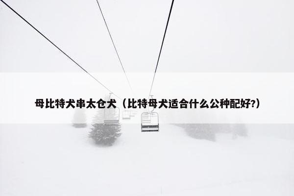 母比特犬串太仓犬（比特母犬适合什么公种配好?）