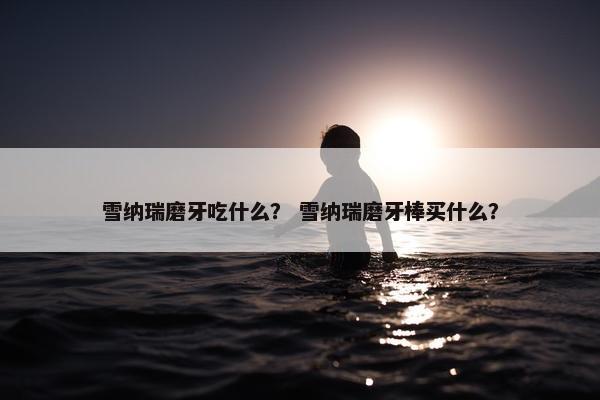 雪纳瑞磨牙吃什么？ 雪纳瑞磨牙棒买什么？