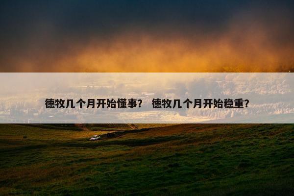 德牧几个月开始懂事？ 德牧几个月开始稳重？