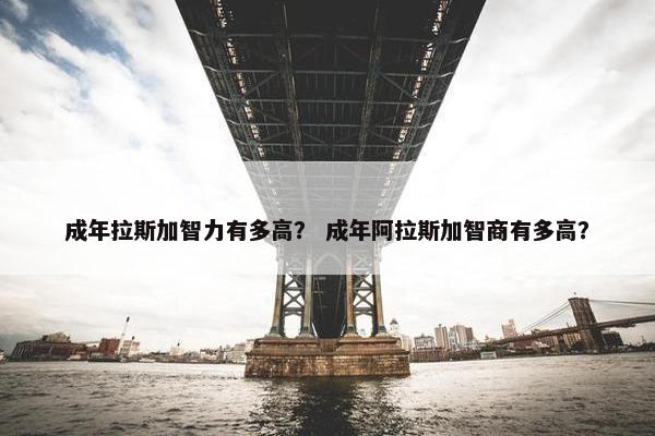 成年拉斯加智力有多高？ 成年阿拉斯加智商有多高？