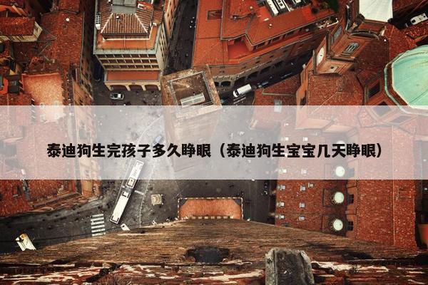 泰迪狗生完孩子多久睁眼（泰迪狗生宝宝几天睁眼）