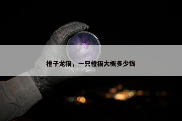 橙子龙猫，一只橙猫大概多少钱