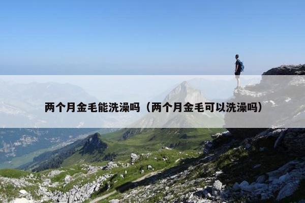 两个月金毛能洗澡吗（两个月金毛可以洗澡吗）