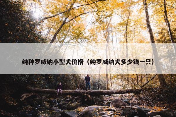 纯种罗威纳小型犬价格（纯罗威纳犬多少钱一只）