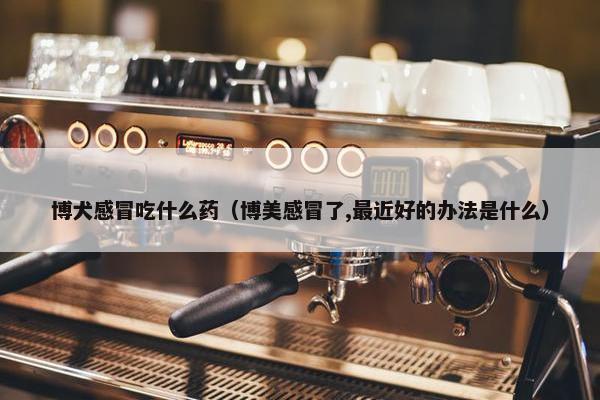 博犬感冒吃什么药（博美感冒了,最近好的办法是什么）