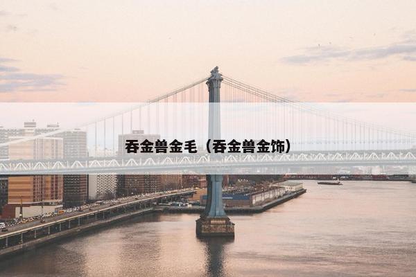 吞金兽金毛（吞金兽金饰）