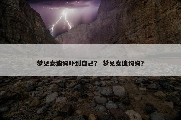 梦见泰迪狗吓到自己？ 梦见泰迪狗狗？