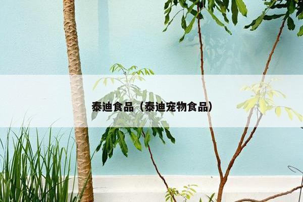 泰迪食品（泰迪宠物食品）