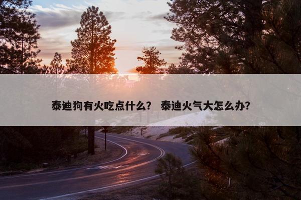 泰迪狗有火吃点什么？ 泰迪火气大怎么办？