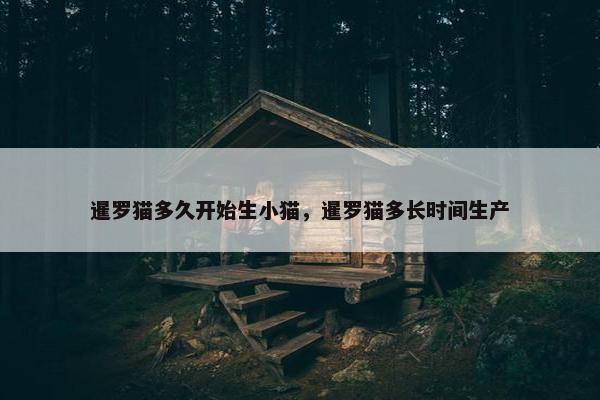 暹罗猫多久开始生小猫，暹罗猫多长时间生产